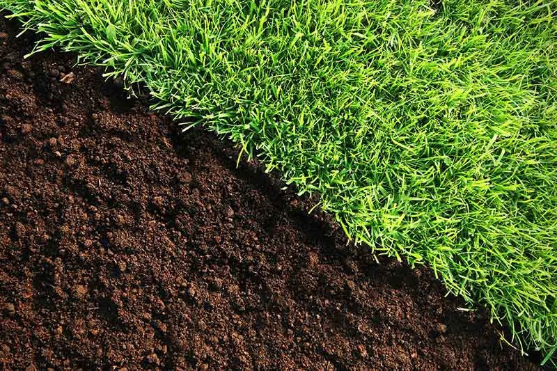 El tipo de suelo de su césped afecta la cantidad de cal que se necesita para cambiar el pH del suelo.